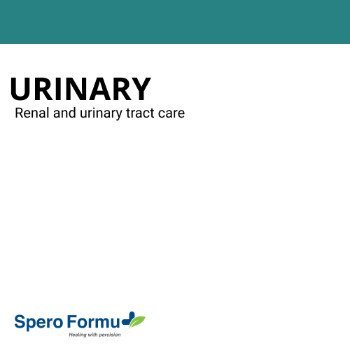 Kidney & Urinary