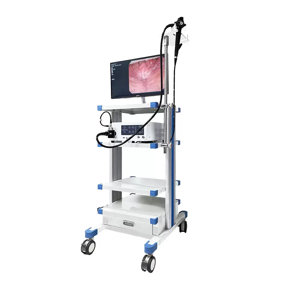 Veterinary Endoscope System